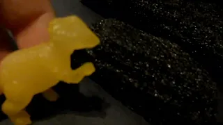 Fossil Folks: Pipe Club